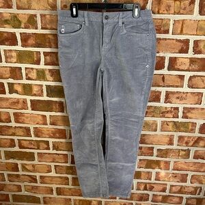 Stio Gray organic cotton stretch Straight Leg pants with Corduroy Texture. 10R